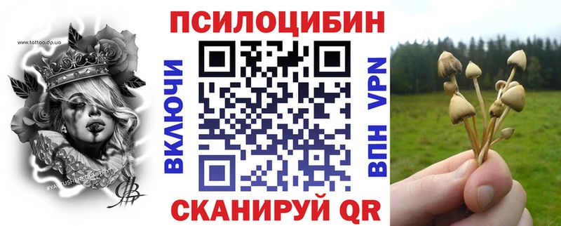 Псилоцибиновые грибы GOLDEN TEACHER  Купить закладки  Артёмовский 